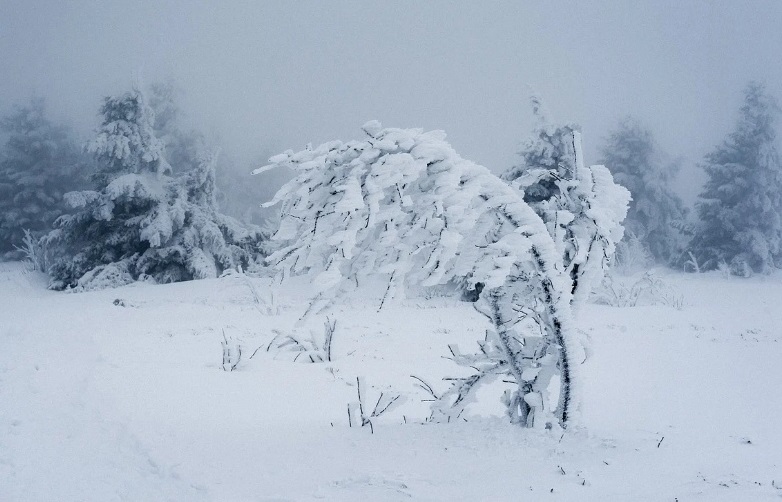 Метель в Казахстане. Снежная буря в Казахстане. Черный квадрат на снегу. Метель метель какого ведь уже апрель